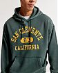 Moscow USA предлагает Вам купить мужскую толстовку Abercrombie Fitch зеленого цвета с капюшоном и графическим логотипом. Модель 07062. Бесплатная доставка по России, Москве и области, самовывоз.