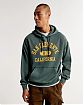 Moscow USA предлагает Вам купить мужскую толстовку Abercrombie Fitch зеленого цвета с капюшоном и графическим логотипом. Модель 07062. Бесплатная доставка по России, Москве и области, самовывоз.