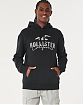 Moscow USA предлагает Вам купить мужскую толстовку с капюшоном Hollister черного цвета с нашитым серым логотипом 07114. Бесплатная доставка по России, Москве и области, самовывоз.