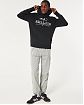 Moscow USA предлагает Вам купить мужскую толстовку с капюшоном Hollister черного цвета с нашитым серым логотипом 07114. Бесплатная доставка по России, Москве и области, самовывоз.