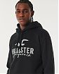 Moscow USA предлагает Вам купить мужскую толстовку с капюшоном Hollister черного цвета с нашитым серым логотипом 07114. Бесплатная доставка по России, Москве и области, самовывоз.