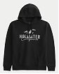 Moscow USA предлагает Вам купить мужскую толстовку с капюшоном Hollister черного цвета с нашитым серым логотипом 07114. Бесплатная доставка по России, Москве и области, самовывоз.