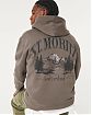 Moscow USA предлагает Вам купить мужскую утепленную толстовку с капюшоном Hollister коричневого цвета с рисунком St. Moritz Switzerland. Модель 07283. Бесплатная доставка по России, Москве и области, самовывоз.