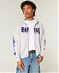 Мужская толстовка Hollister Boxy с молнией и вышивкой Hawaii. Оригинальная модель, бесплатная доставка и примерка по России
