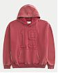 Мужское худи Hollister с аппликацией номера 19, капюшоном и карманом-кенгуру, красного цвета. Оригинальная модель, бесплатная доставка и примерка по России.