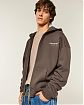 Мужская толстовка Hollister тёмно-коричневого цвета с принтом Макларен, капюшоном и молнией. Оригинальная модель, бесплатная доставка и примерка по России.