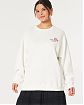 Женская толстовка без капюшона Hollister Oversized белого цвета с принтом. Модель 06769. Бесплатная доставка по России, Москве и Области от Moscow USA