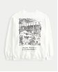 Женская толстовка без капюшона Hollister Oversized белого цвета с принтом. Модель 06769. Бесплатная доставка по России, Москве и Области от Moscow USA
