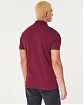 Moscow USA предлагает вам купить мужское поло Hollister бордового с нашитым лого в виде чайки. Модель 07106. Бесплатная доставка по России, Москве и области, самовывоз.