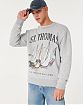 Moscow USA предлагает вам купить мужскую толстовку свитшот Hollister серого цвета с изображением Виргинских островов Сент-Томас. Модель 06939. Бесплатная доставка по России, Москве и области, самовывоз.