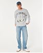 Moscow USA предлагает вам купить мужскую толстовку свитшот Hollister серого цвета с изображением Виргинских островов Сент-Томас. Модель 06939. Бесплатная доставка по России, Москве и области, самовывоз.