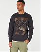 Moscow USA предлагает вам купить мужскую толстовку свитшот Hollister с изображением Каньон Аризона черного цвета. Модель 06938. Бесплатная доставка по России, Москве и области, самовывоз.