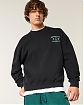 Moscow USA предлагает вам купить мужскую толстовку свитшот Hollister черного цвета с графикой Atlas Bronze Gym. Модель 07757. Бесплатная доставка по России, Москве и области, самовывоз.