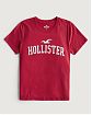 Женская футболка Hollister красного цвета с фирменным логотипом. Модель 06529. Подробное описание и цена товара. Доставка по России, Москве и Области от Moscow USA