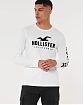 Moscow USA предлагает вам купить футболку с длинным рукавом Hollister белого цвета с нашитым логотипом на груди и спине. Модель 07561. Бесплатная доставка по России, Москве и области, самовывоз