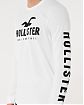 Moscow USA предлагает вам купить футболку с длинным рукавом Hollister белого цвета с нашитым логотипом на груди и спине. Модель 07561. Бесплатная доставка по России, Москве и области, самовывоз