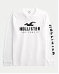Moscow USA предлагает вам купить футболку с длинным рукавом Hollister белого цвета с нашитым логотипом на груди и спине. Модель 07561. Бесплатная доставка по России, Москве и области, самовывоз