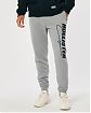 Moscow USA предлагает Вам купить спортивные штаны Hollister Joggers серого цвета с черным принтом. Модель 06479. Доставка по России, Москве и области, самовывоз.