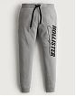 Moscow USA предлагает Вам купить спортивные штаны Hollister Joggers серого цвета с черным принтом. Модель 06479. Доставка по России, Москве и области, самовывоз.