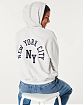 Женская толстовка на молнии с капюшоном Hollister светло-серого цвета с нашитой графикой 07117. Модель 07117. Бесплатная доставка по России, Москве и Области от Moscow USA