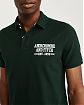 Moscow USA предлагает вам купить поло Abercrombie Fitch зеленого цвета с белой нашитой надписью . Модель 04633. Доставка по России, Москве и области, самовывоз.