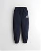 Женские спортивные штаны Hollister Joggers темно-синего цвета с фирменным лого. Модель 6009. Подробное описание и цена товара. Доставка по России, Москве и Области от Moscow USA