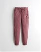 Женские легинсы Hollister Joggers темно-розового цвета с фирменной нашитой надписью и логотипом чайки. Модель 06043. Подробное описание и цена товара. Доставка по России, Москве и Области от Moscow USA