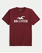 Moscow USA предлагает вам купить футболку Hollister бордового цвета с нашитым логотипом. Модель 07609. Доставка по России, Москве и области, самовывоз.