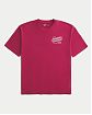 Мужская футболка Hollister красного цвета с принтом Мотеля Щейди Пайн из мягкого хлопка. Оригинальная модель, бесплатная доставка и примерка по России.