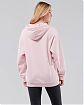 Женская толстовка синего цвета Hollister Oversize розового цвета с надписью и нашитыми цветами. Модель 05678. Подробное описание и цена товара. Доставка по России, Москве и Области от Moscow USA