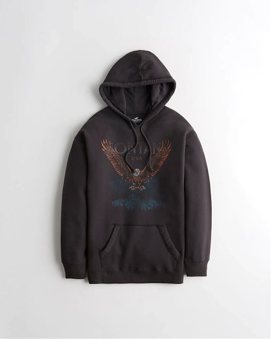 Женская толстовка Hollister Oversized темно-серого цвета с фирменным принтом орла. Модель 06718. Подробное описание и цена товара. Доставка по России, Москве и Области от Moscow USA