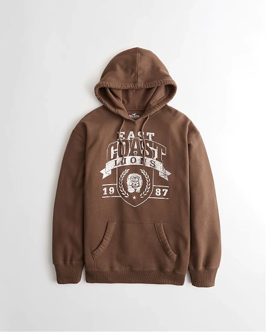 Женская толстовка Hollister Oversized темно-коричневого цвета с фирменным принтом. Модель 06034. Подробное описание и цена товара. Доставка по России, Москве и Области от Moscow USA