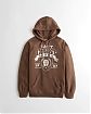 Женская толстовка Hollister Oversized темно-коричневого цвета с фирменным принтом. Модель 06034. Подробное описание и цена товара. Доставка по России, Москве и Области от Moscow USA