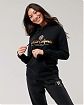 Женская толстовка с капюшоном Hollister черного цвета с фирменным золотым принтом на груди. Модель 06032. Подробное описание и цена товара. Доставка по России, Москве и Области от Moscow USA