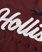 Женская футболка Hollister бордового цвета с нашитой белой надписью и лого чайки. Модель 04883. Доставка по России, Москве и Области от Moscow USA