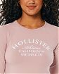 Женская футболка Hollisterрозового цвета с графикой. Модель 06596. Доставка по России, Москве и Области от Moscow USA